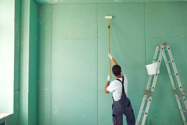 Best Post-Construction Mold Inspection  in San Carlos, AZ
